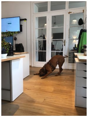 office-image